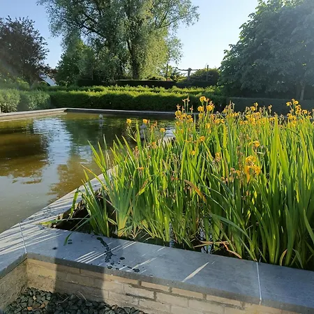 Sun And Sea Daire De Haan