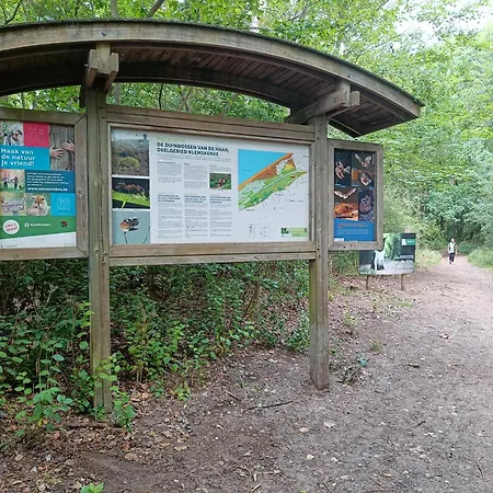 Sun And Sea * De Haan