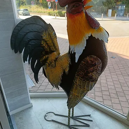 Sun And Sea Daire De Haan