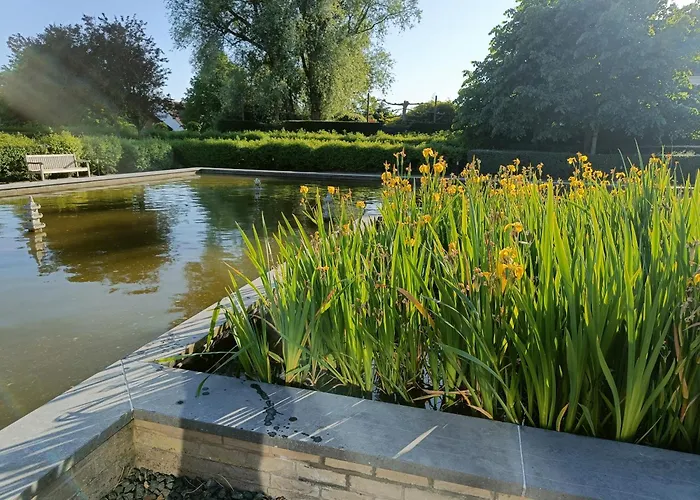 Sun And Sea 公寓 德哈恩