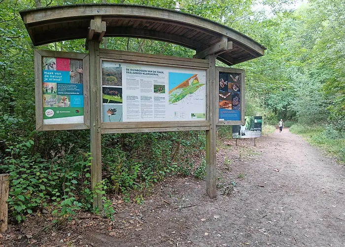 Sun And Sea * 德哈恩